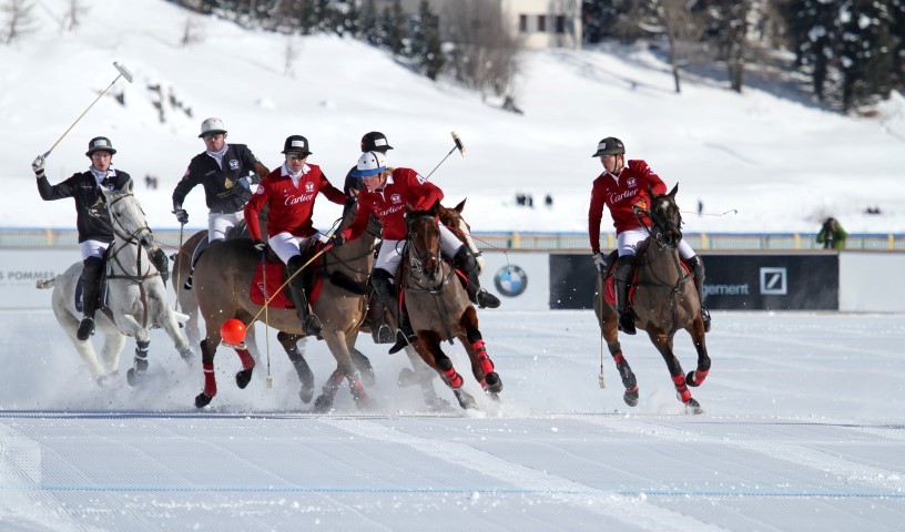 The Rules of Snow Polo